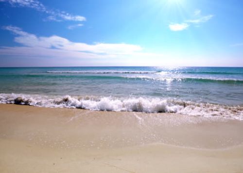 Brigantine Real Estate - Susan Pompei, Sales Representative